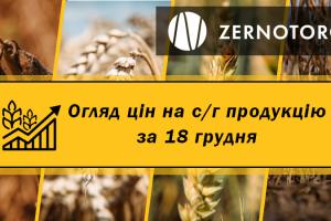 Пшениця продовжує дорожчати — огляд за 18 грудня від Zernotorg.ua