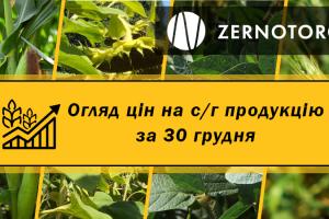 Ціни на с/г продукцію — огляд за 30 грудня від Zernotorg.ua