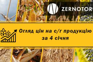 Ціни на зернові та олійні — огляд за 4 січня від Zernotorg.ua