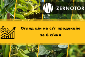 Ціни на зерно в портах почали рости — огляд за 6 січня від Zernotorg.ua