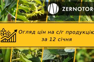 Ціни на с/г продукцію — огляд за 12 січня від Zernotorg.ua