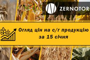 Ціни на зернові та олійні — огляд за 15 січня від Zernotorg.ua