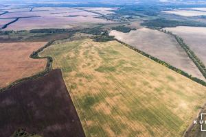 В Україні названо регіони із найдорожчою землею с/г значення