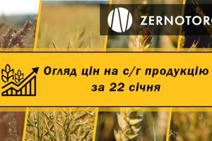 Ціни на зернові та олійні — огляд за 22 січня від Zernotorg.ua