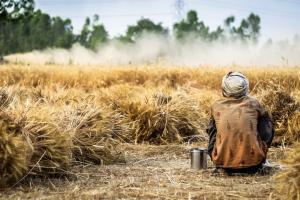 Індійські фермери продовжують протестувати