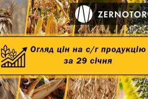 Ціни на с/г продукцію — огляд за 29 січня від Zernotorg.ua