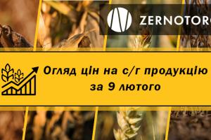 Пшениця та кукурудза дешевшають — огляд цін на с/г продукцію за 9 лютого від Zernotorg.ua