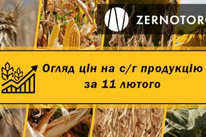 Ціни на с/г продукцію — огляд за 11 лютого від Zernotorg.ua