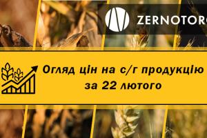 Ціни на зернові та олійні — огляд за 22 лютого від Zernotorg.ua