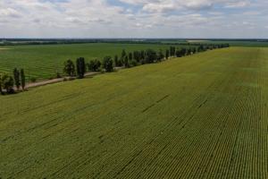 Через тіньовий обробіток земель місцеві бюджети недотримують мільйони гривень — Чайківський