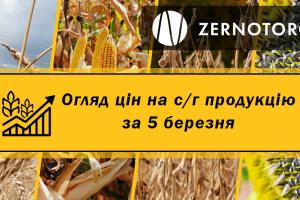 Зернові та олійні продовжують дешевшати  — огляд цін за 5 березня від Zernotorg.ua