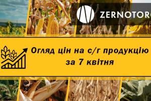 Ціни на с/г продукцію — огляд за 7 квітня від Zernotorg.ua