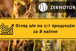 Ціна пшениці продовжує активно знижуватись — огляд за 8 квітня від Zernotorg.ua