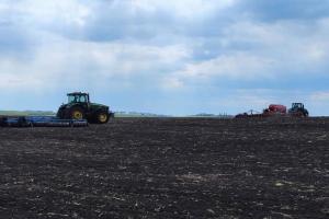 Агрофірма на Вінниччині удвічі зменшить площі під соняшником