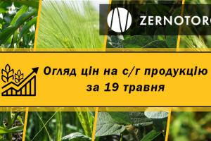 В Україні впали ціни на кукурудзу — огляд за 19 травня від Zernotorg.ua