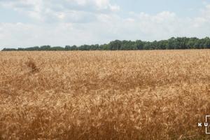 Затверджено рішення щодо створення в Україні Офісу з розвитку підприємництва та експорту