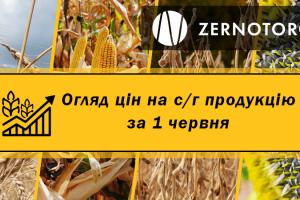 Ціни на зернові та олійні — огляд за 1 червня від Zernotorg.ua