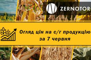 Ціни на зернові та олійні — огляд за 7 червня від Zernotorg.ua