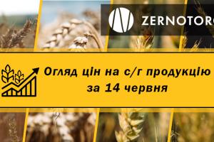 Ціни на с/г продукцію — огляд за 14 червня від Zernotorg.ua