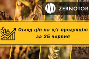 Ціни на с/г продукцію — огляд за 25 червня від Zernotorg.ua