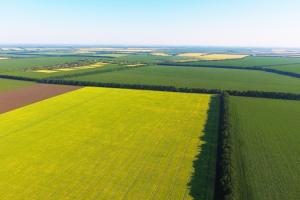 Запуск ринку землі: названо умови купівлі-продажу аграрної землі