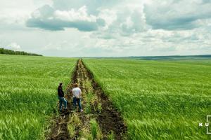 На землі окупованих території та прифронтові зони накладено мораторій