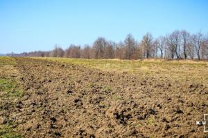 В українців зможуть конфісковувати землю