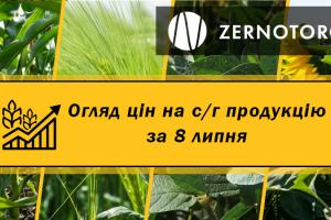 Ціни на зернові та олійні — огляд за 8 липня від Zernotorg.ua