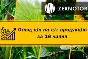 В Україні зросла вартість ріпаку — огляд цін за 16 липня від Zernotorg.ua