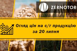 Ціни на с/г продукцію — огляд за 20 липня від Zernotorg.ua