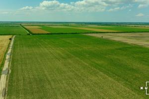 Фахівець розповів про важливість контролю термінів договорів оренди землі