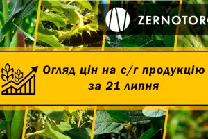 Ціни на зернові та олійні — огляд за 21 липня від Zernotorg.ua