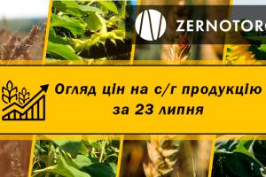 В українських портах подорожчав ячмінь — огляд цін за 23 липня від Zernotorg.ua