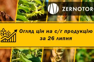 В Україні дорожчають зернові і олійні — огляд цін за 26 липня від Zernotorg.ua