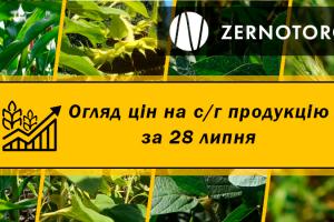 Ціни на зернові та олійні — огляд за 28 липня від Zernotorg.ua