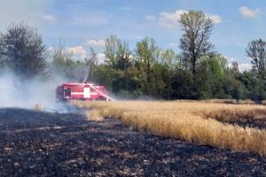 На Хмельниччині від вогню врятували 65 га пшениці