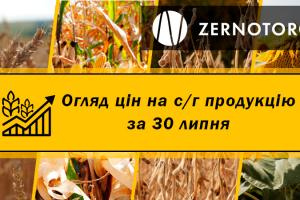 Ціни на зернові та олійні — огляд цін за 30 липня від Zernotorg.ua