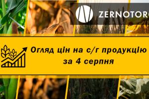 Ціни на зернові продовжують зростати — огляд за 4 серпня від Zernotorg.ua