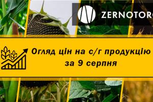 Ціни на зернові зростають — огляд за 9 серпня від Zernotorg.ua