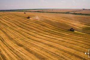 Аграрії Харківщини завершують жнива ранніх зернових з врожайністю 4,7 т/га