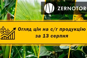 Ціни на ячмінь зростають — огляд за 13 серпня від Zernotorg.ua