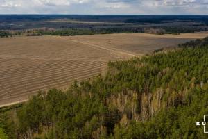 Землевпорядний аудит зможе зупинити незаконний обробіток землі у громадах