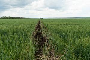 На Дніпропетровщині невідомі незаконно зайняли сільгоспділянку