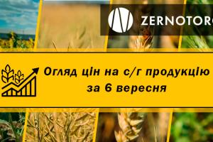 В Україні стрімко подорожчала соя — огляд за 6 вересня від Zernotorg.ua