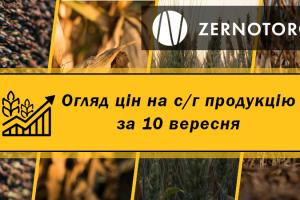 Ціни на с/г продукцію — огляд за 10 вересня від Zernotorg.ua