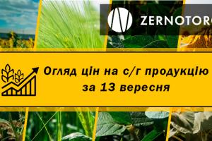 В Україні подорожчав соняшник — огляд за 13 вересня від Zernotorg.ua