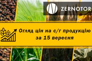 Ціни на зернові та олійні — огляд за 15 вересня від Zernotorg.ua