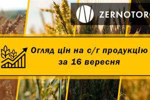 В Україні подорожчала соя — огляд за 16 вересня від Zernotorg.ua