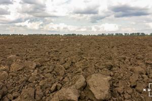 На Вінниччині незаконно вирощували сільгоспкультури на землях оборони