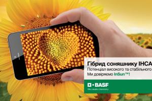 BASF презентує новий гібрид соняшника традиційної системи вирощування